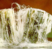 Asbestos Exposure