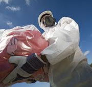 Asbestos Removals