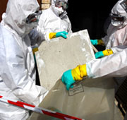 Asbestos Removers